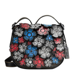 【新款蔻驰包】价格_图片_官网报价_多少钱