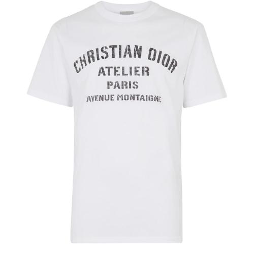 【包邮包税】 dior迪奥 21年春夏 男士 短袖t恤 christian dior
