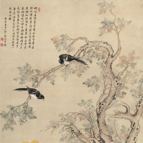 邹一桂 《翠柏双喜图》高清晰名家版画 花鸟
