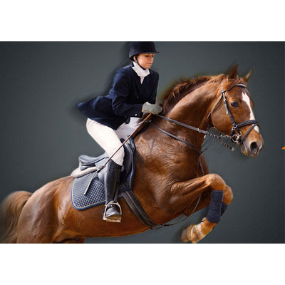 "慕马堂"2013年青少年马术夏令营