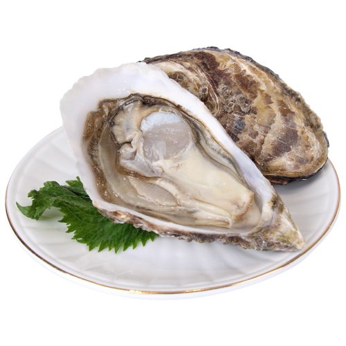 【鲜活】万龙洲法国安之莲生蚝