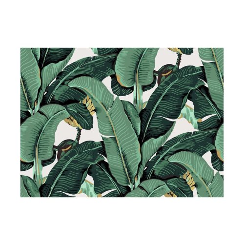 荷兰ixxi芭蕉叶/森林/绿植墙画/装饰画 | 植物/自然/背景墙|现货 香蕉