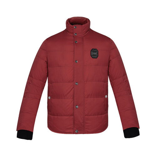 panna/攀娜冬季时尚简约休闲立领保暖男士羽绒服