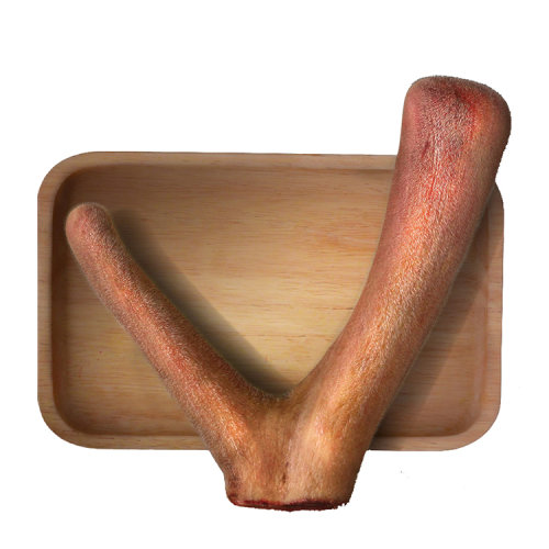 吉林敖东 梅花鹿鲜鹿茸整枝新鲜带血头茬二杠鹿角可切片煲汤泡酒男性