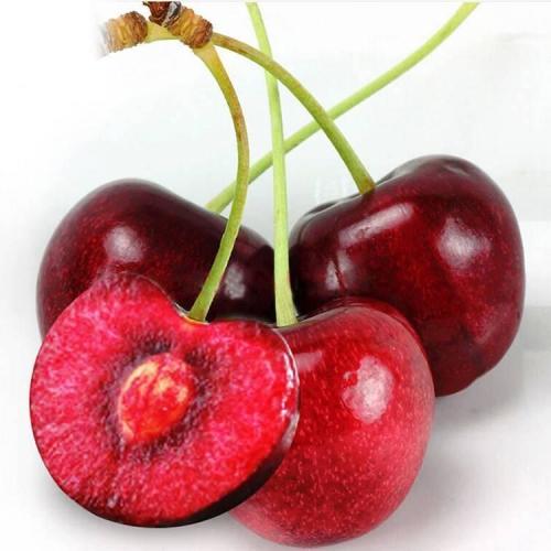 智利车厘(进口)当季新鲜特大樱桃孕妇时令水果黑珍珠整箱顺丰空运