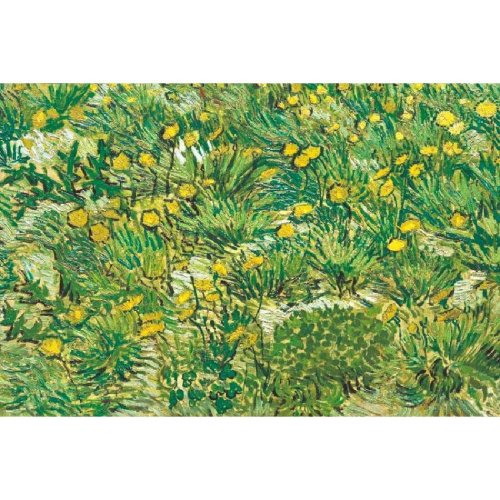 梵高《蒲公英》/60x40cm/数码版/世界博物馆版画