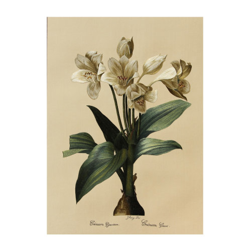 刺绣苏绣精品:大文殊兰百合 南通沈绣 非遗传承人 艺术大师作品 纯