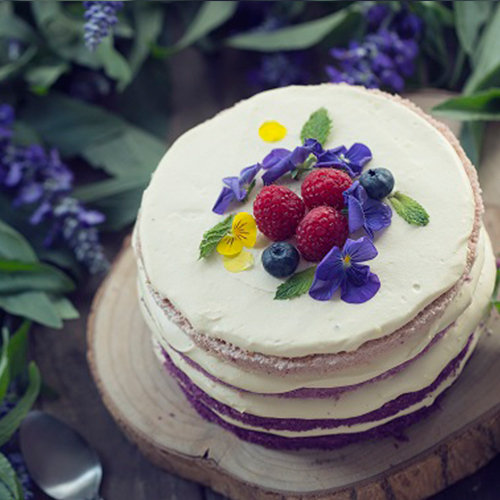 库live 皮娜鲍什主题蛋糕【等待爱情】芝士薰衣草1.5磅(3-4人)