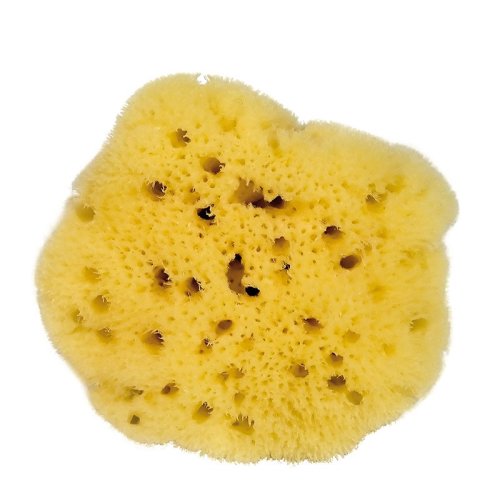 croll&denecke/珂柔蒂那天然丝海绵7x5cm161.01.9014